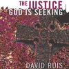 Book Thoughts - David Ruis - The Justice God Is Seeking